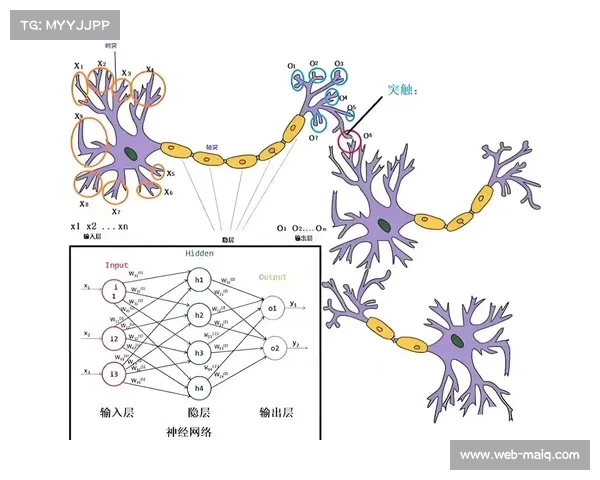 神经网络编解码在创新周期内应用 显著优化了极低带宽环境下的还原